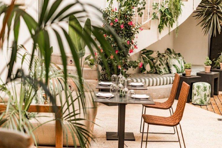 Patio et jardins, un havre de paix dans votre hôtel urbain à Palma